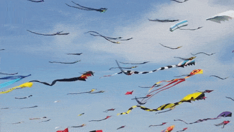INTERNATIONAL KITE FESTIVAL