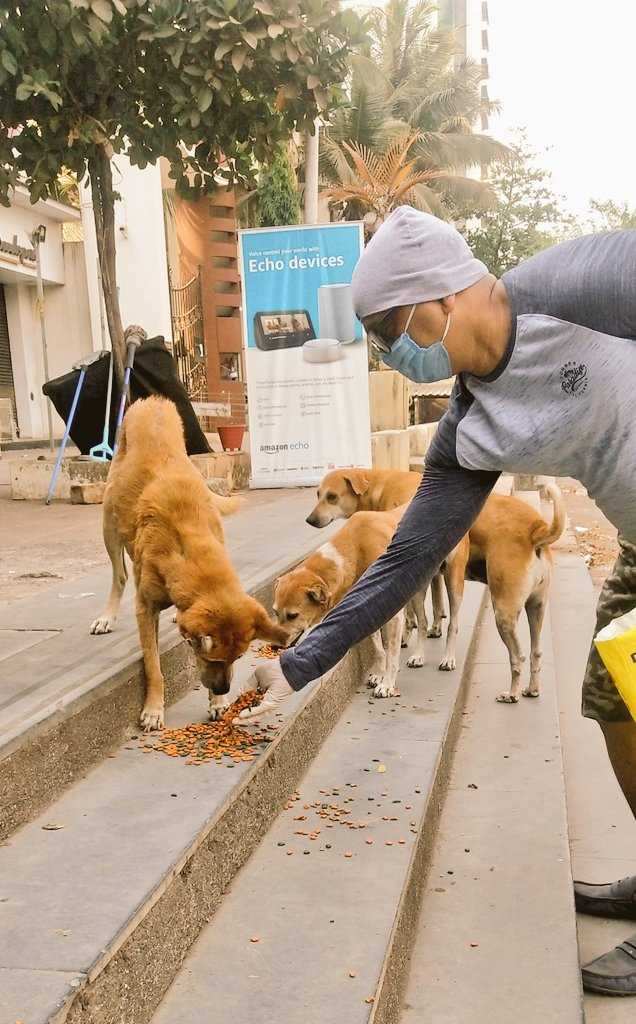 Being the Real Human Foundation