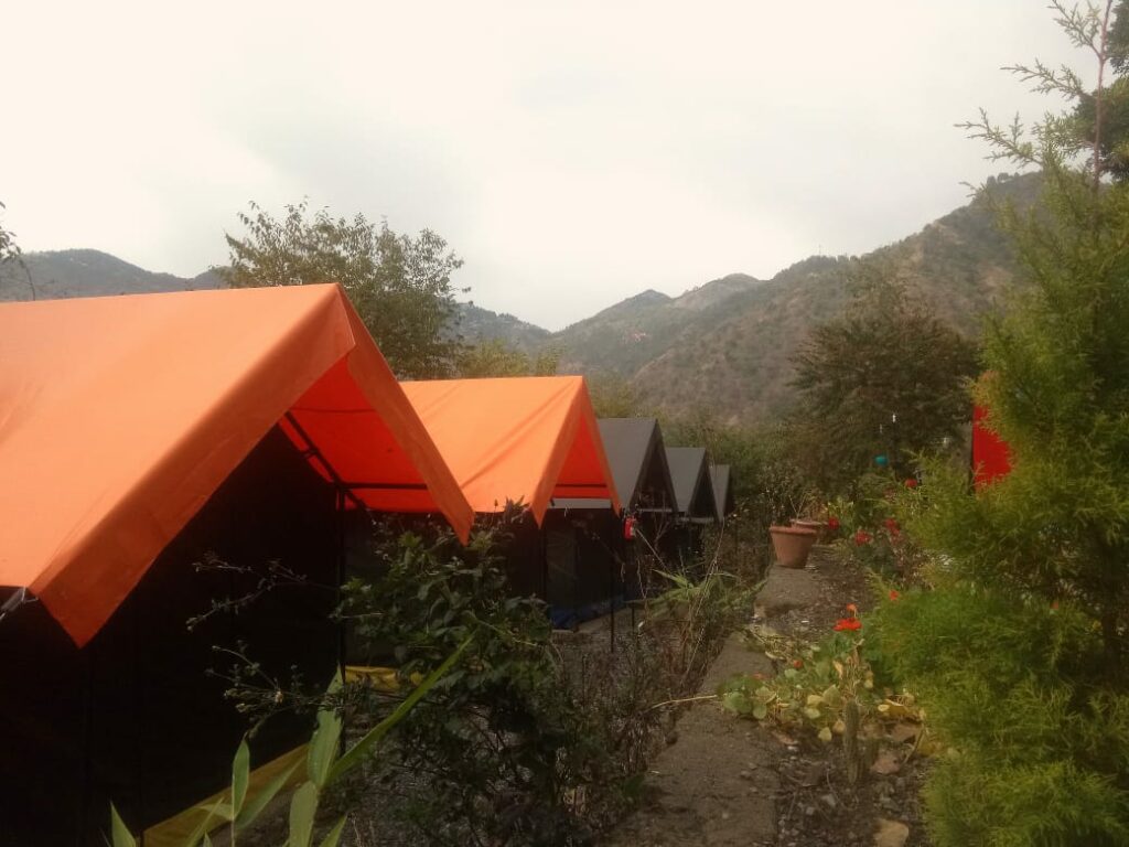 Greenlust Camps and Resorts