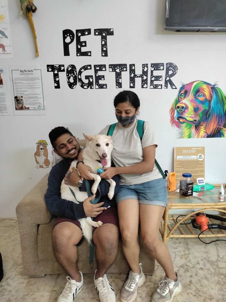 What-is-DogNation-all-about