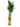 lucky bamboo 5 -