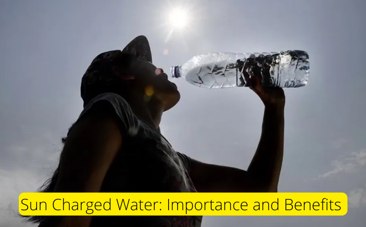 Is It Safe To Drink Bottled Water Left In The Sun?
