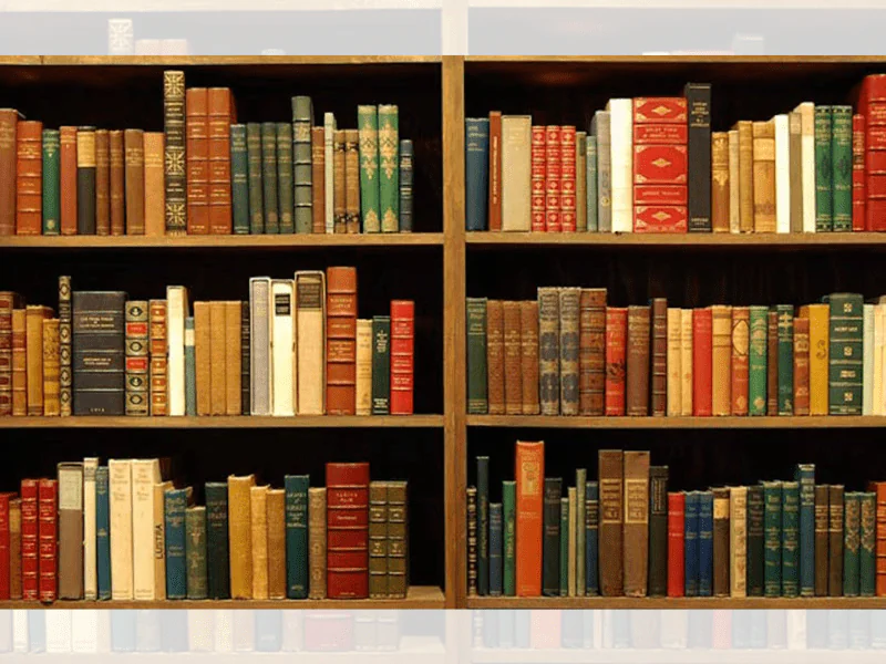 Indian Authors: Essential Reads for Children and Adults