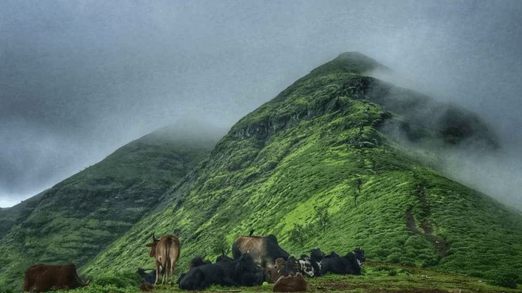 Brahmagiri Trek Nashik