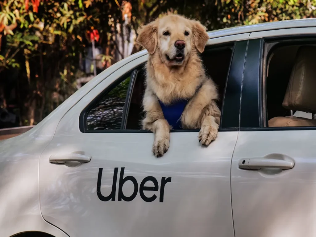 Uber Pet Now in Delhi and Mumbai