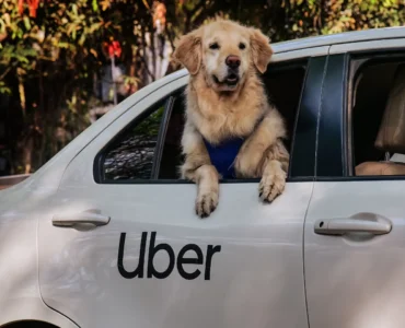 Uber Pet Now in Delhi and Mumbai