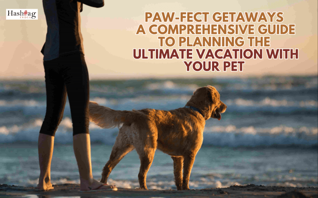 Planning the Ultimate Vacation with Your Pet