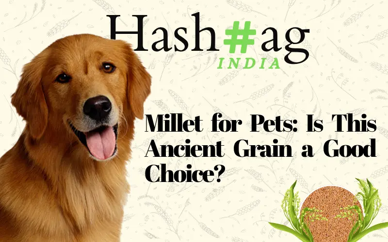 Is Millet Good for Pets in India
