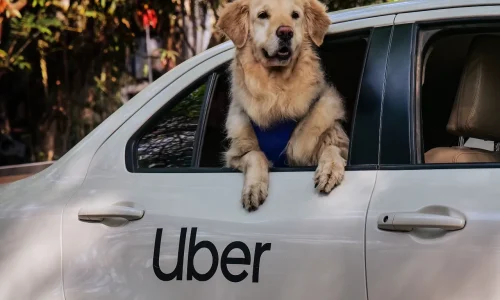 Uber Pet Now in Delhi and Mumbai