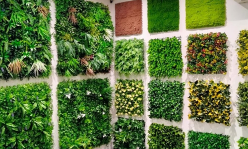 Vertical Gardening- A Green Oasis for Your Home